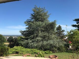  Villa � vendre 9 pi�ces 280 m�