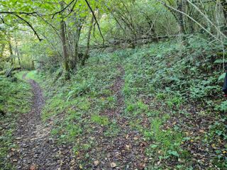  Terrain  vendre 16281 m