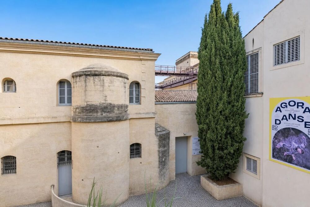 Montpellier centre : T2 de charme avec balcon au calme