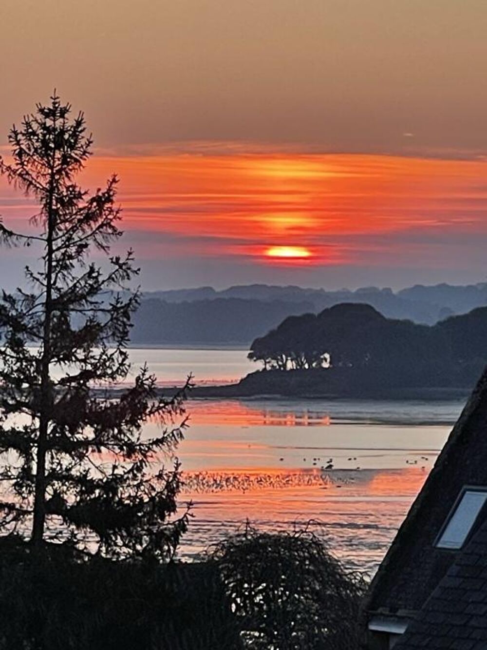 � vendre  Maison Sarzeau (56370)