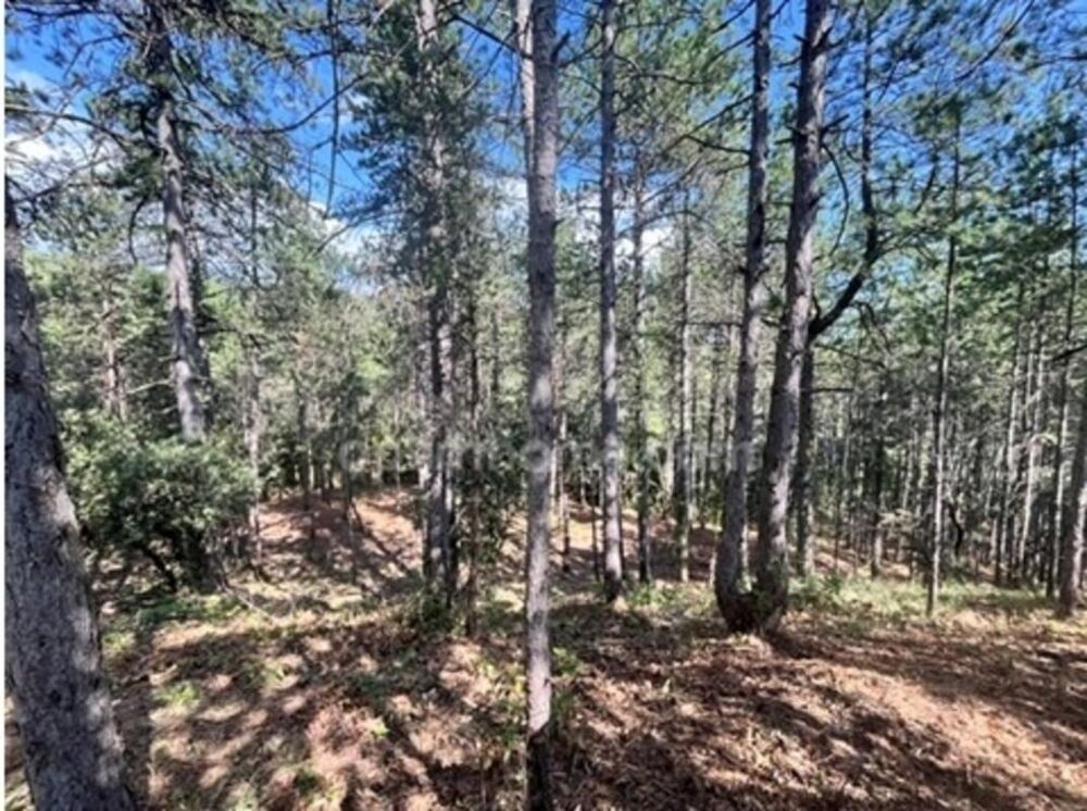 Vente Terrain Terrain à vendre de 3 577,00 m² BOURG SAINT ANDEOL (07) Bourg saint andeol