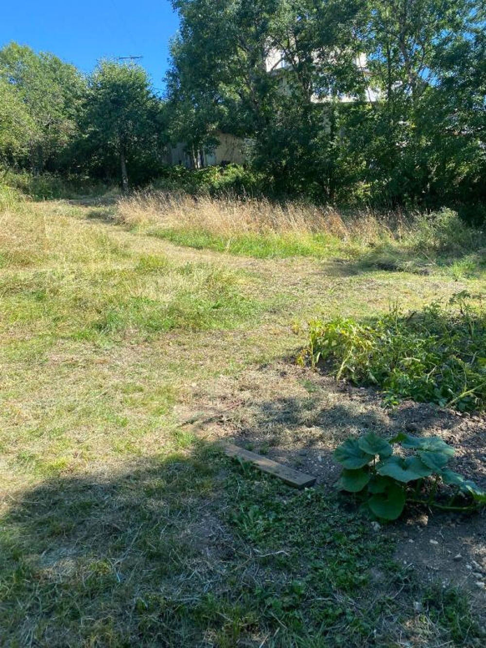 Vente Terrain Terrain constructible 1294 m2 Grenant les sombernon