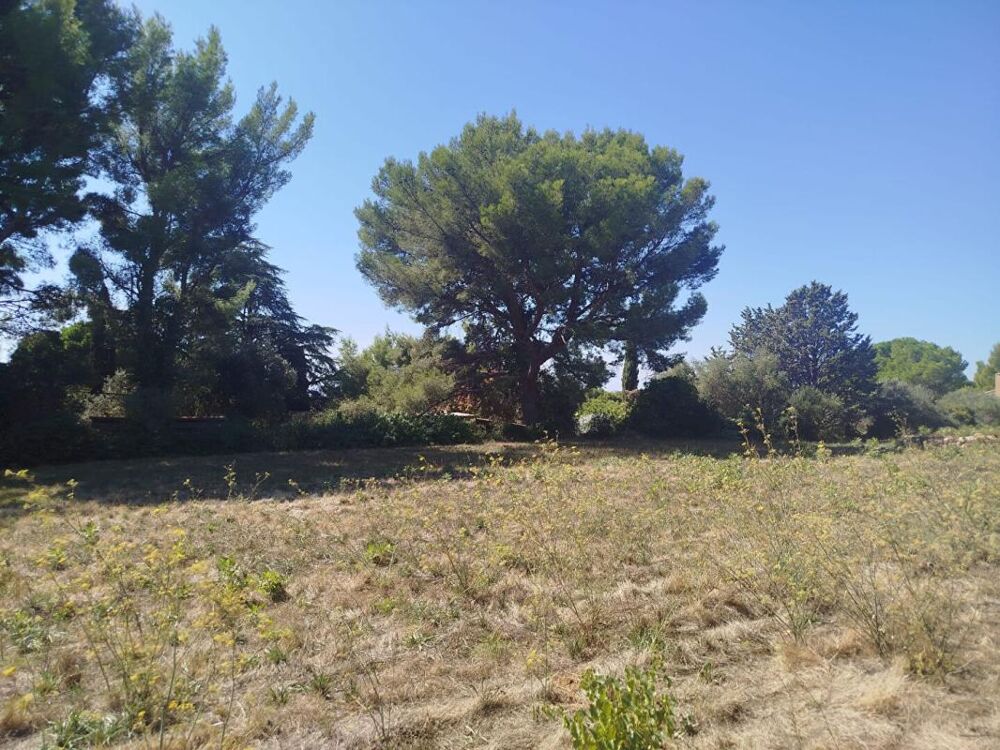 Vente Maison Grande villa Ollioules gros cerveau avec vue sur la mer Ollioules