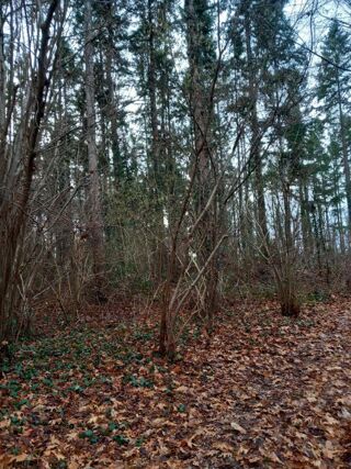  Terrain � vendre 31200 m�