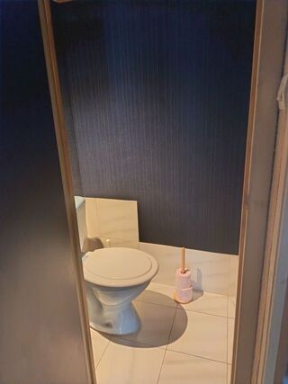  Appartement à louer 1 pièce 30 m²