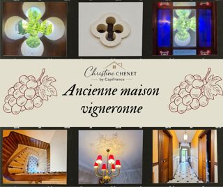  Propriété/château à vendre 12 pièces 272 m²