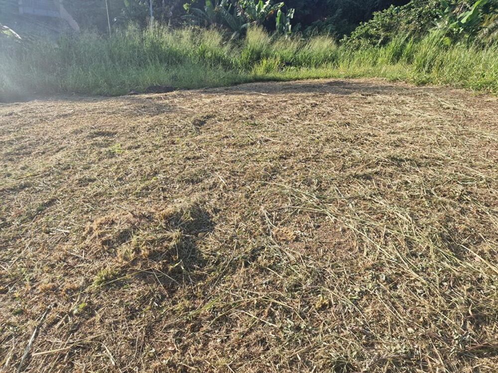 Vente Terrain Terrain-Schoelcher-Terreville Schoelcher