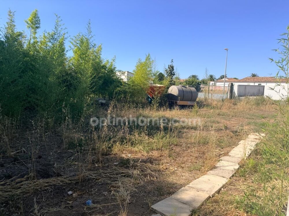 EXCLUSIVITÉ  ENSEMBLE IMMOBILIER SUR PARCELLE AGRICOLE : MAISON DE PLAIN-PIED & HANGAR