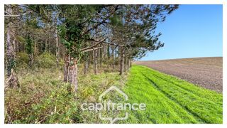  Maison à vendre 1 pièce 30 m²