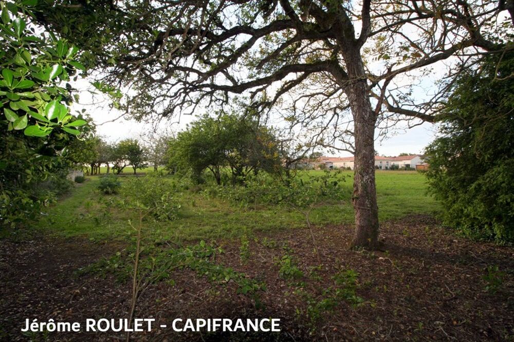 Vente Terrain Dpt Vienne (86),  vendre Champigny-En-Rochereau terrain - Terrain constructible de 1 350,00 m environ Champigny en rochereau