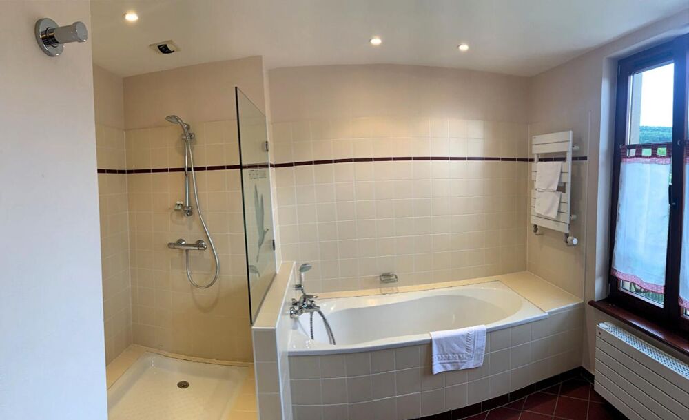  vendre  Htel Particulier Sarrebourg (57400)