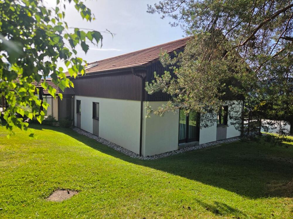 Vente Maison Maison d'architecte Saint Nabord 270 m2 Saint nabord