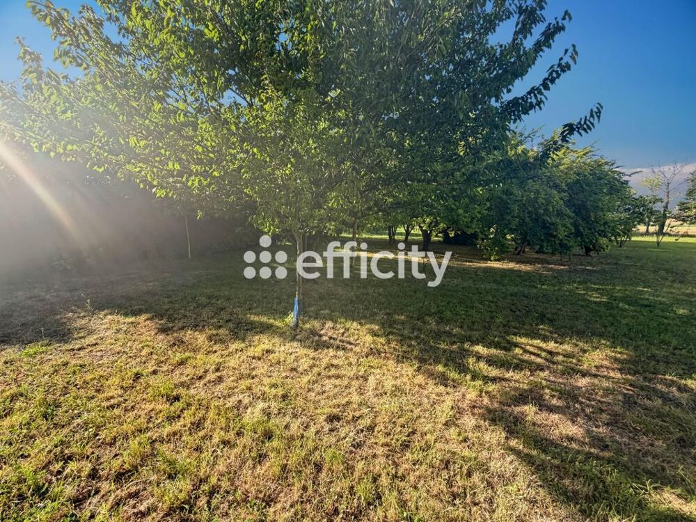 Vente Terrain Terrain Montils