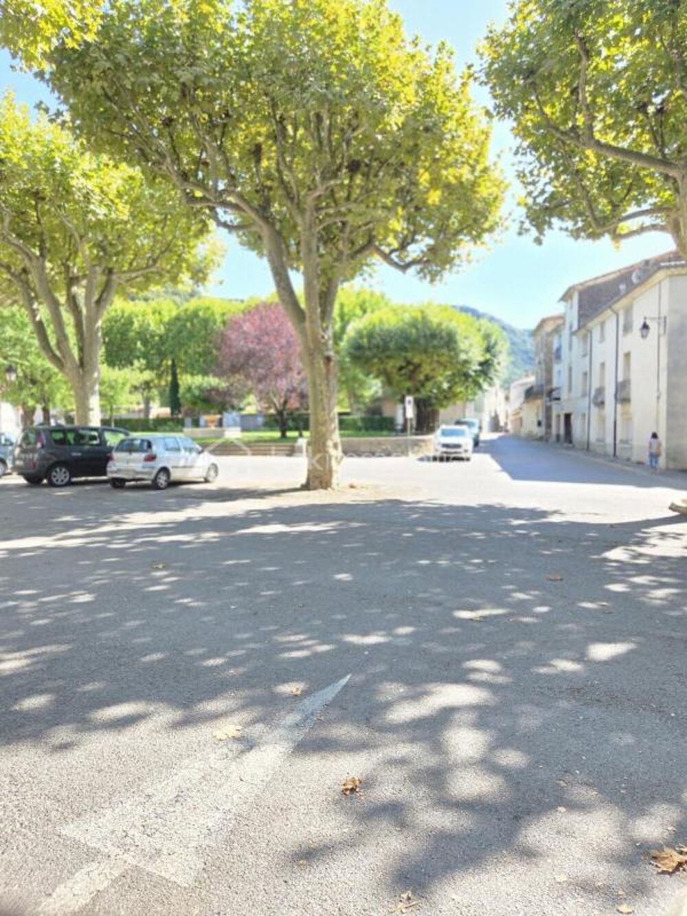 Vente Immeuble Immeuble de rapport 254 m2 avec cabinet libéral et 2 appartements + panneaux photovoltaïques Sumene