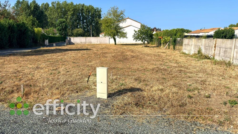 Vente Terrain Terrain Soullans