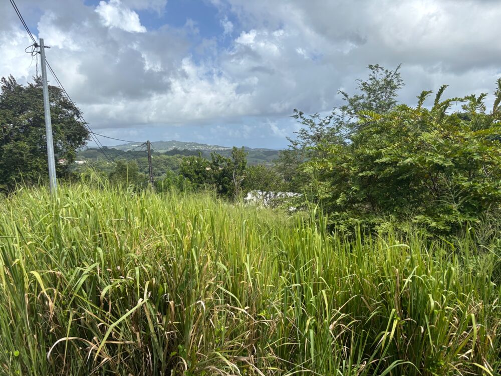 Vente Terrain Terrain à vendre  LE ROBERT (972) de 593 m2 Le robert
