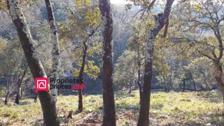  Terrain  vendre 3000 m