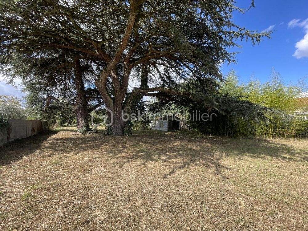 Vente Terrain Terrain 1850m² Saint sulpice la pointe