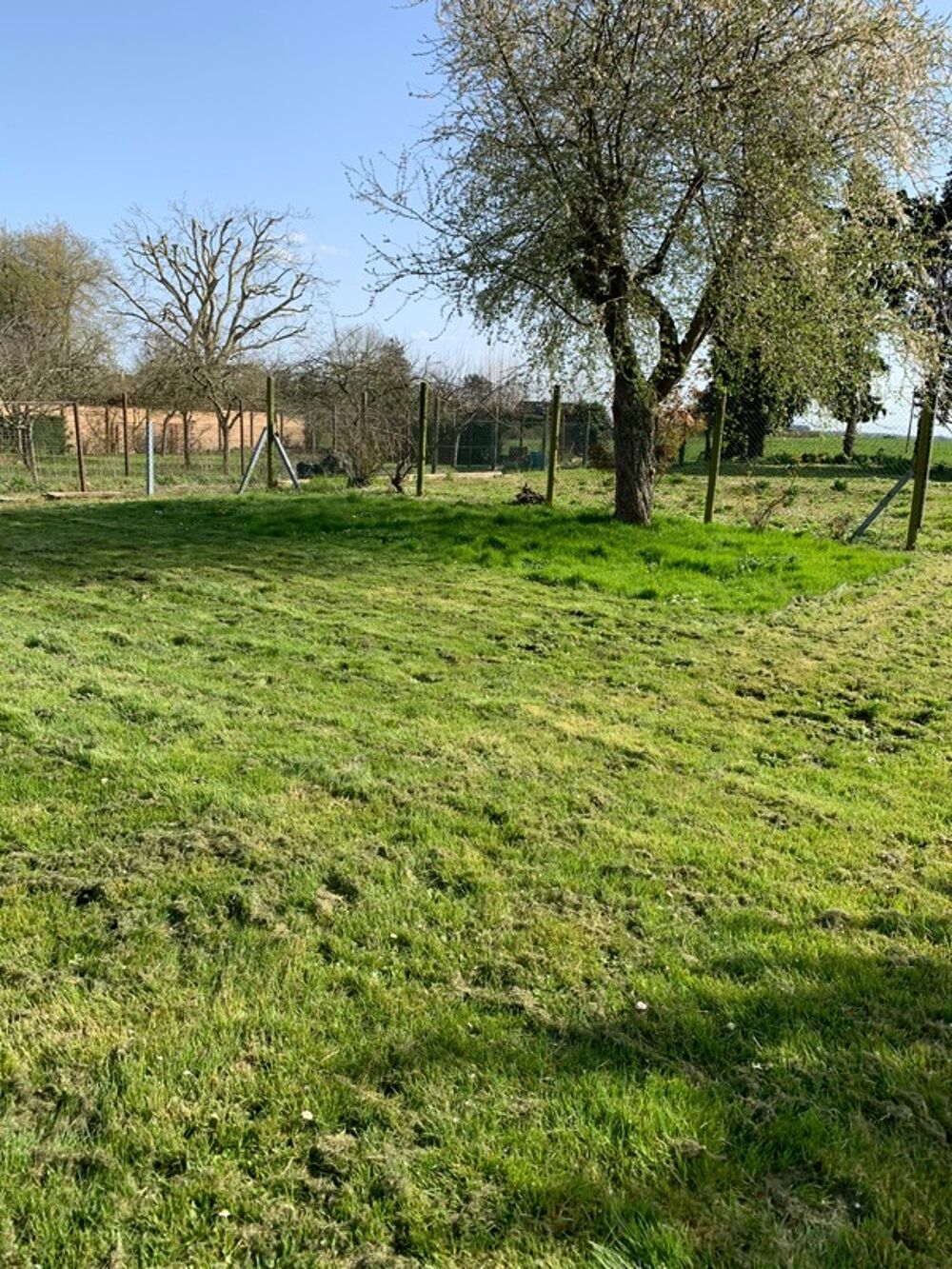 Vente Terrain Dpt Calvados (14), à vendre Creully-sur-Seulles Terrain constructible de 1 162,00 m² Villiers le sec