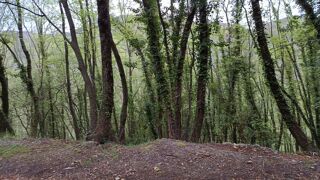  Terrain à vendre 16225 m²