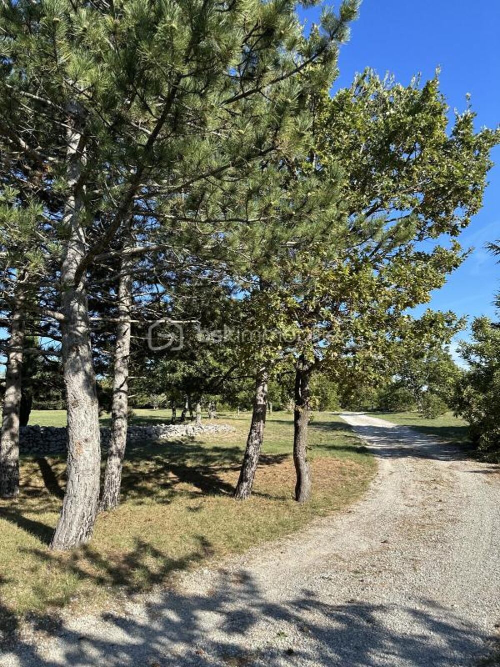  vendre  Proprit/chteau Simiane-la-Rotonde (04150)