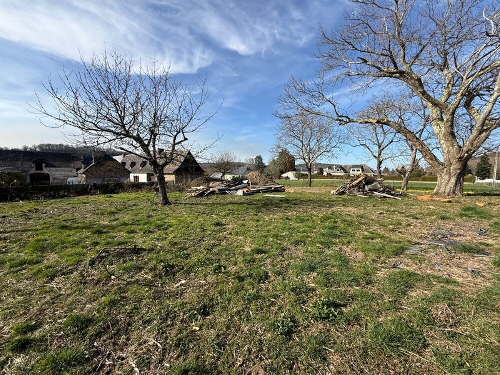 Vente Terrain Terrain constructible de 3 152 m², idéal projet Professionnel Lourdes