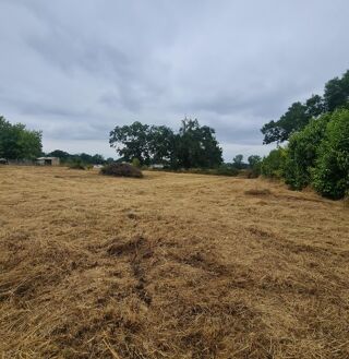  Terrain � vendre 2984 m�