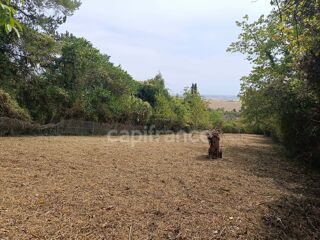 Vente Terrain Terrain à vendre de 1 530,00 m² BELLECHAUME (89) Bellechaume