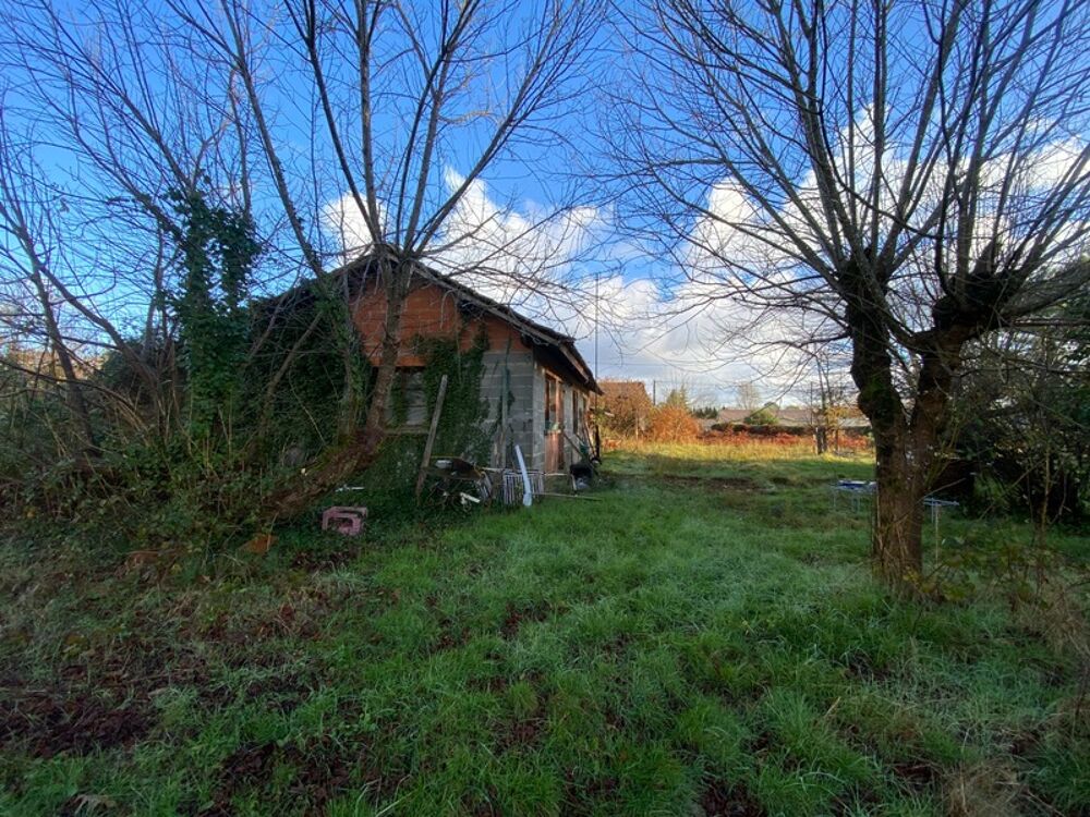 Vente Terrain TERRAIN 7500M2 St Morillon Saint morillon