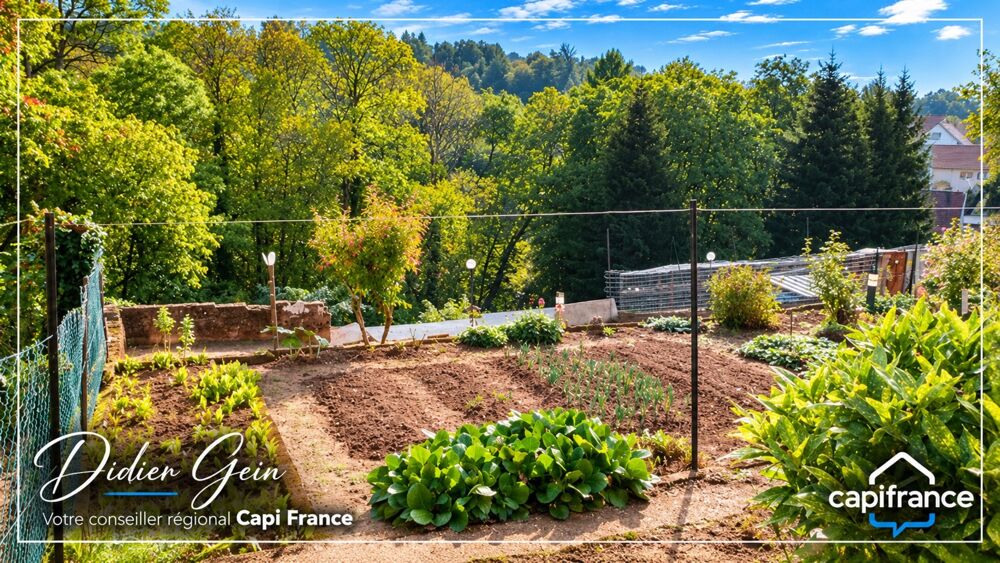 Vente Maison Maison à vendre 7 pièces LA PETITE PIERRE (67) La petite pierre