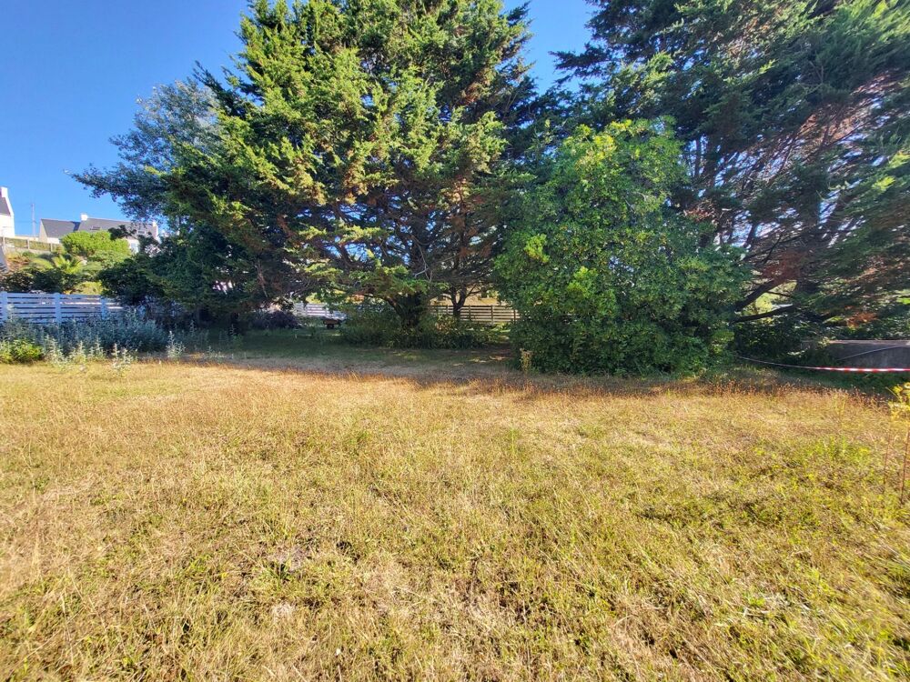 Vente Terrain Terrain constructible à vendre  CAMARET SUR MER (29) Camaret sur mer