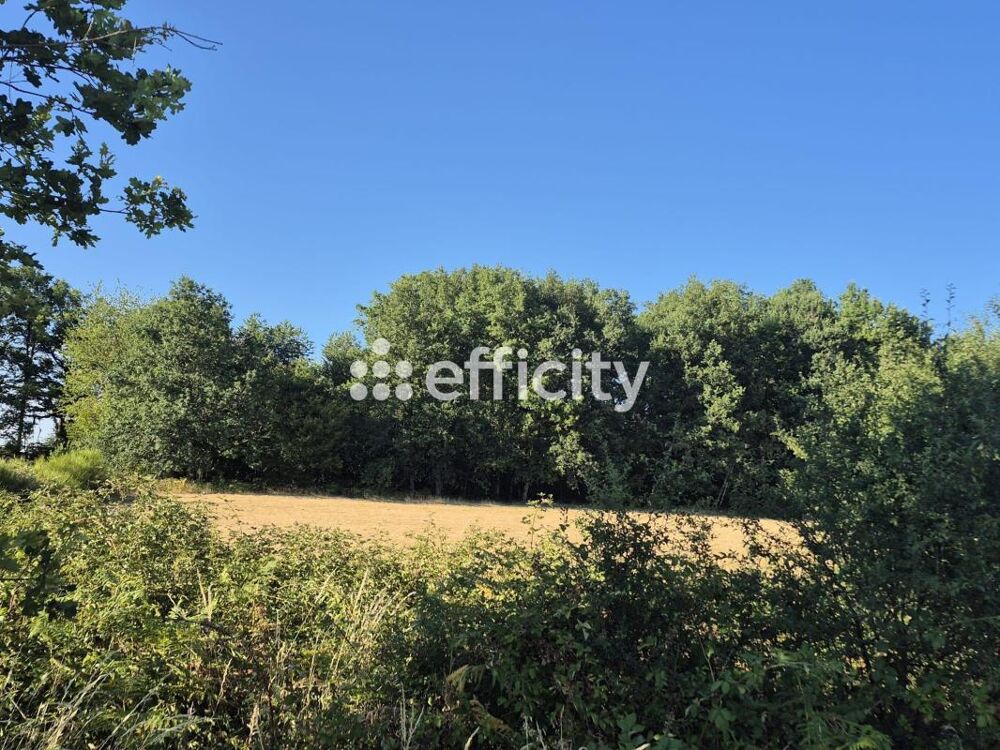 Vente Terrain Terrain Saint auvent