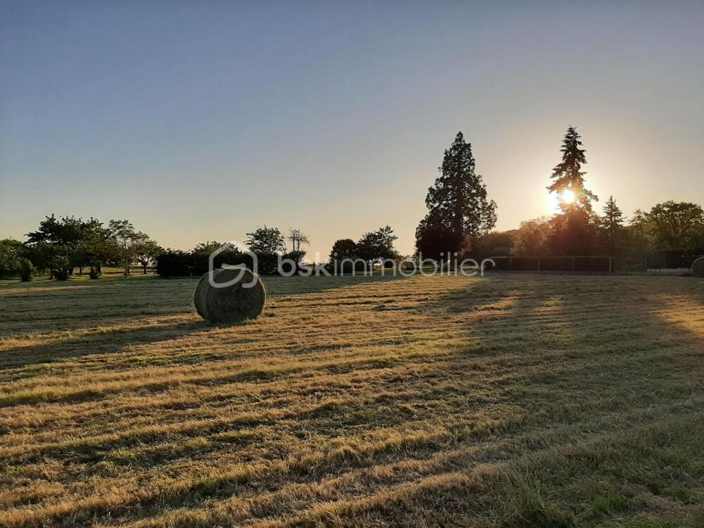 Vente Terrain TERRAIN CONSTRUCTIBLE PROCHE MONNAIE Crotelles