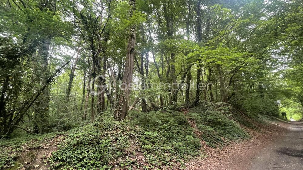 Vente Terrain Terrain à Ully saint Georges !! Cadastre C520 Ully saint georges