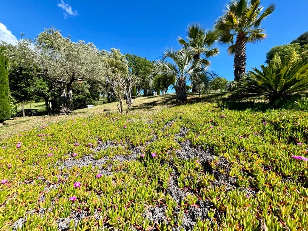 Vente Villa Dpt Var (83), à vendre FREJUS Tour de mare, maison P6 de 156 m² - Terrain de 1790 m² Frejus