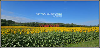  Propriété/château à vendre 1 pièce 860 m²