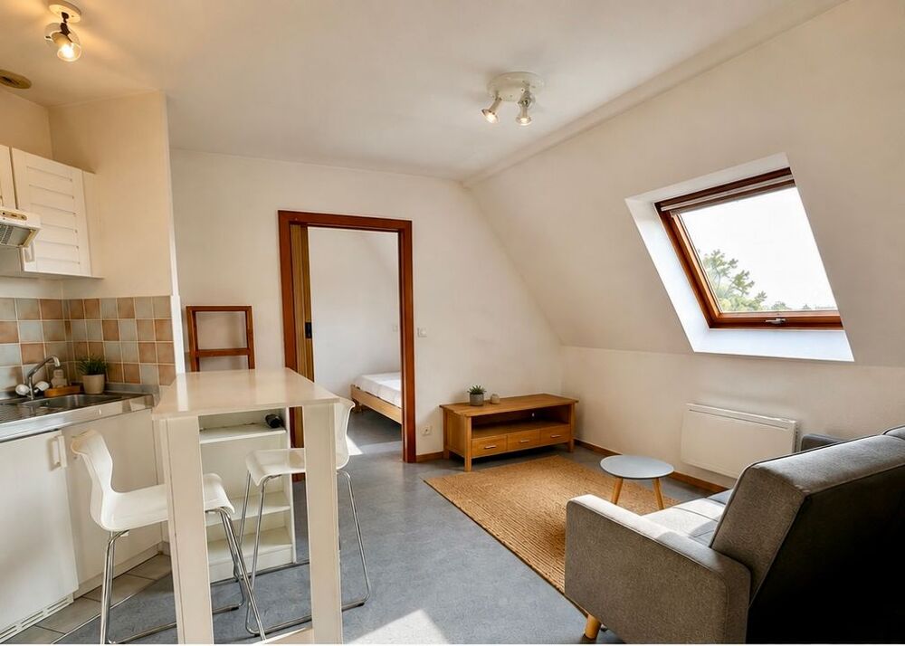 Location Appartement Appartement de 23m2 à louer sur Kembs Kembs