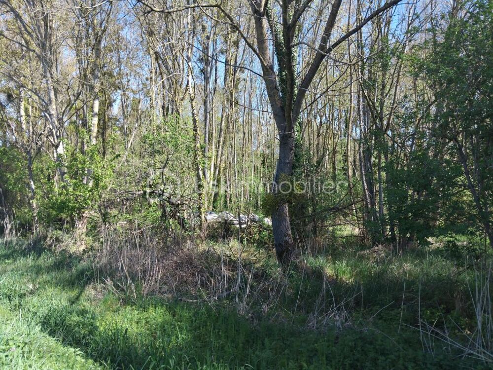 Vente Terrain Terrain de Loisirs Arboré en Zone Naturelle Protégé Clery saint andre