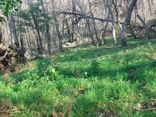  Terrain � vendre 2000 m�