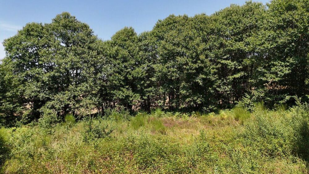 Vente Terrain Terrain Prats De Carlux 4636 m2 Prats de carlux
