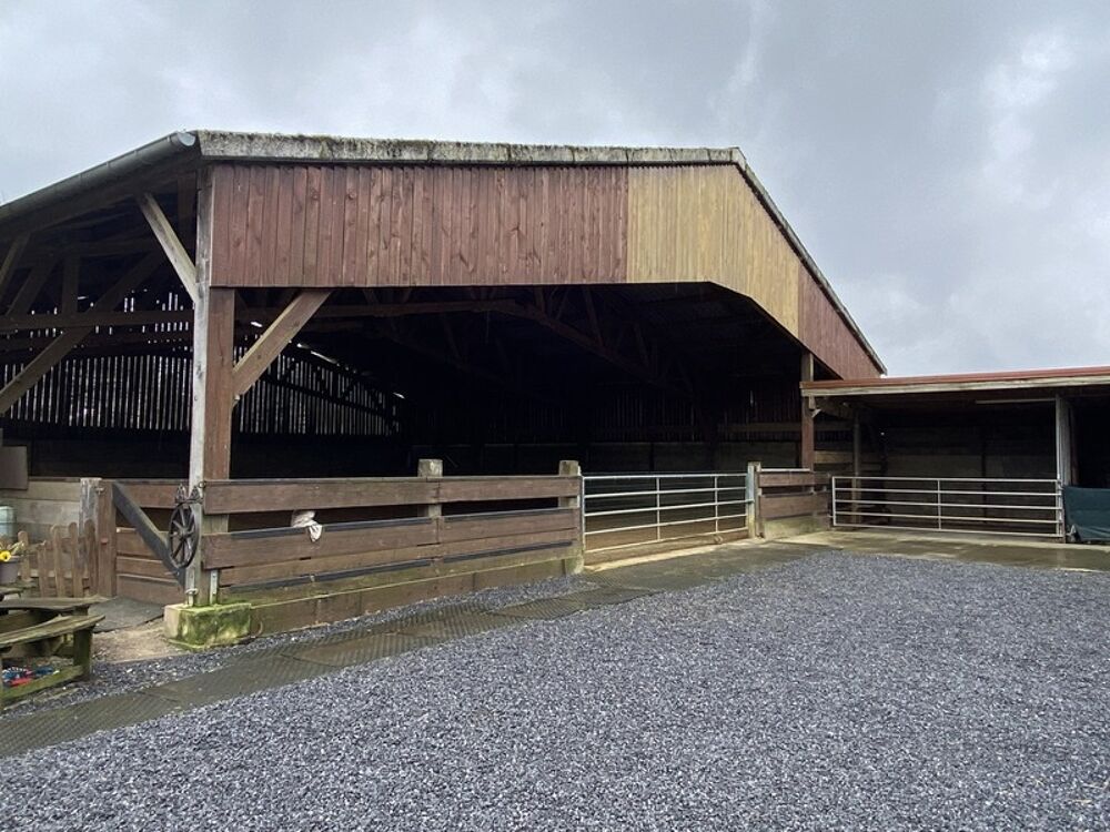 Propriété équestre avec maison, grange et prairies  Village calme proche frontières - Doncourt Les Longuyon (54)