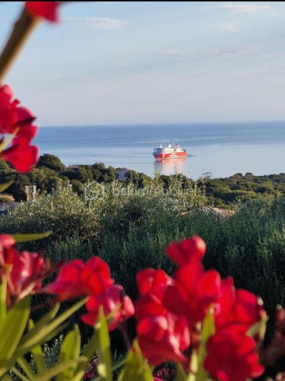 Villa avec vue mer et Cap Corse, piscine, appartement indépendant  Monticello