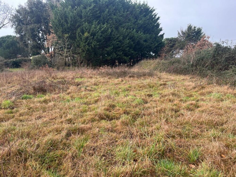 Vente Terrain Terrain Talmont saint hilaire