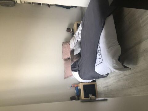  Appartement � louer 2 pi�ces 32 m�