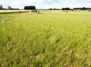  Terrain � vendre 1148 m�