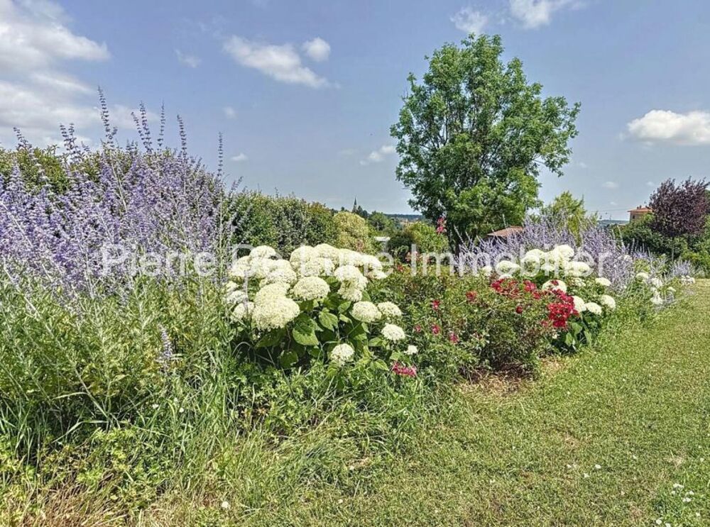  vendre  Maison Lentilly (69210)