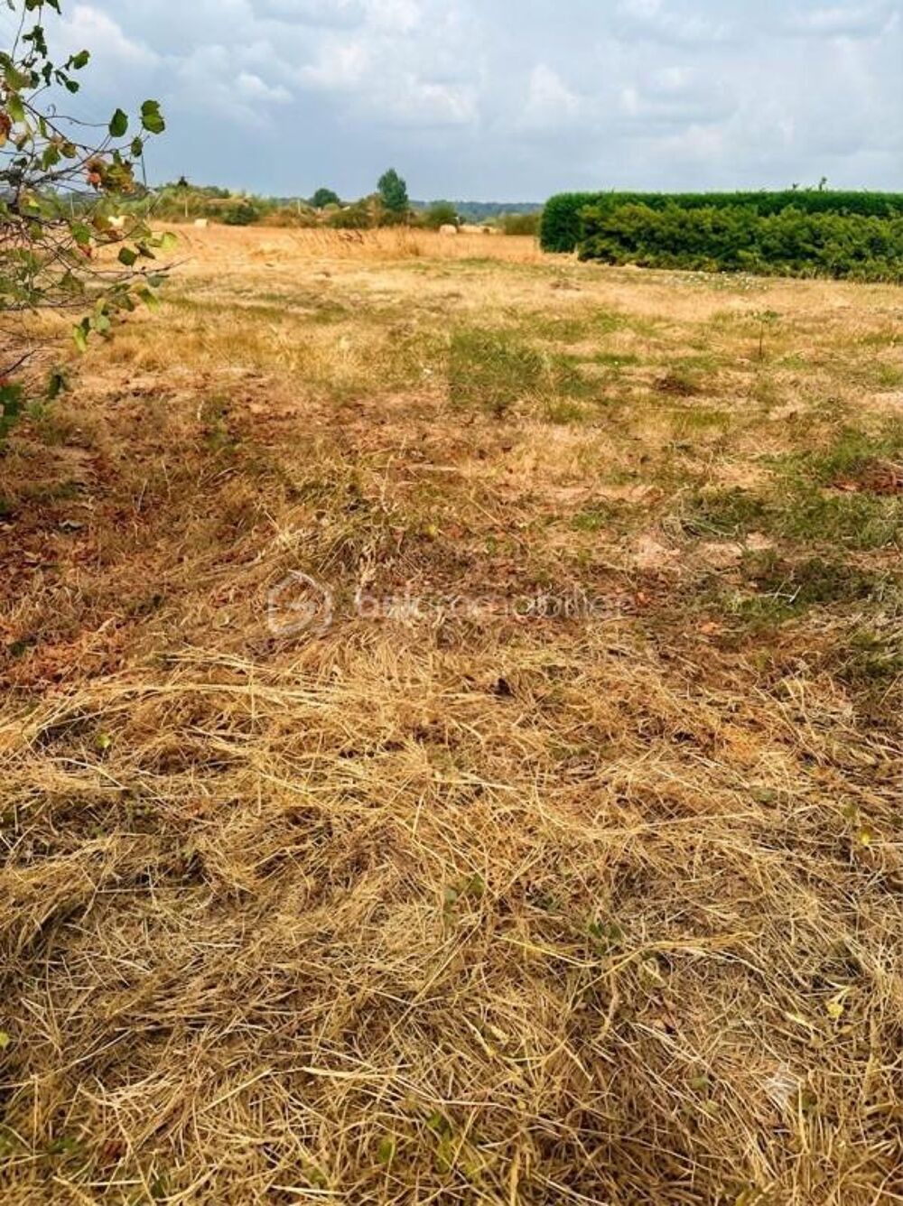 Vente Terrain Terrain viabilisé divisible et constructible avec permis accordé1553 m2 vue sur les Pyrénées-89 000€ FAI Bois de la pierre