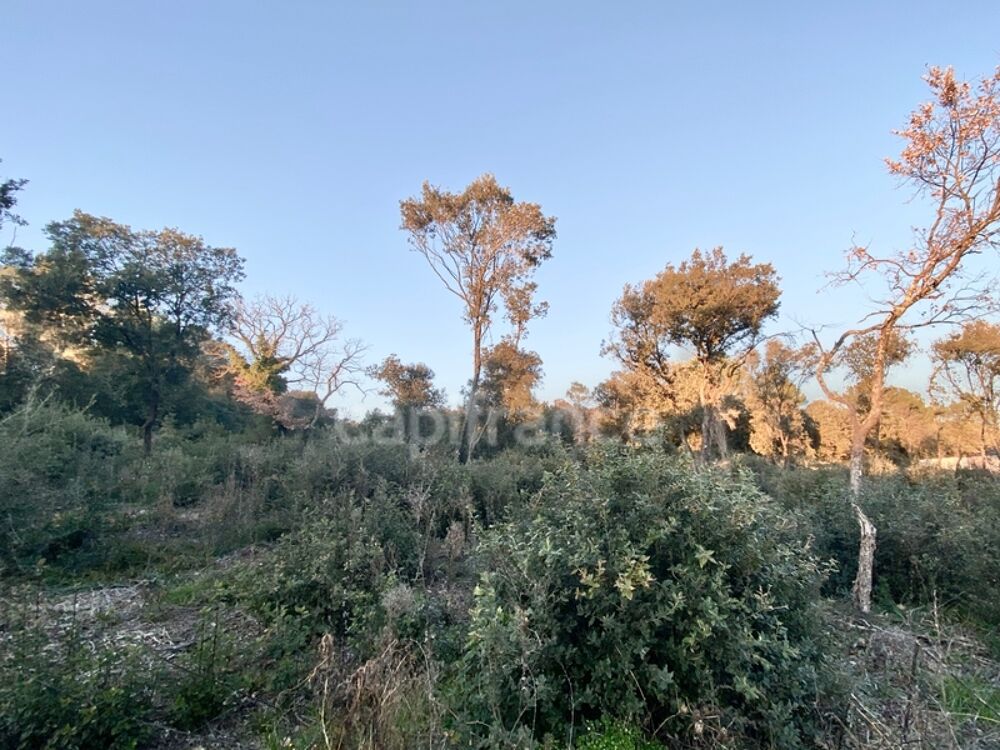Vente Terrain Terrain à vendre de 1 816 m2 proche de UZES (30) Uzes