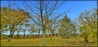  Ferme  vendre 6 pices 167 m