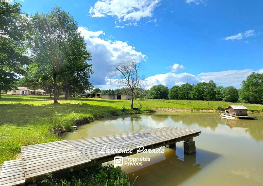 Propriété de charme avec gîte indépendant sur plus de 6 hectares clôturés